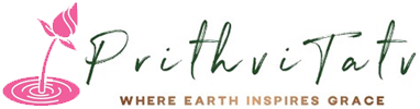 Prithvitatv eStore Logo